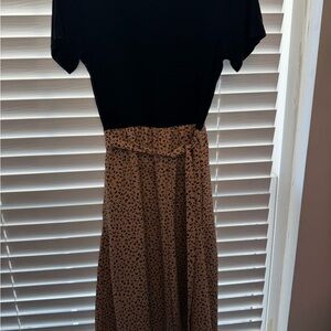 Chic Black and Brown A-Line Dress